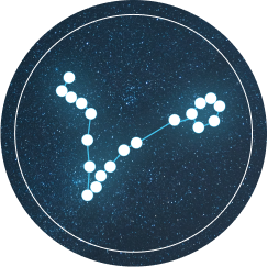 Artistic rendering of the Pisces constellation