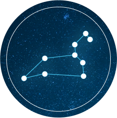 Artistic rendering of the Leo constellation