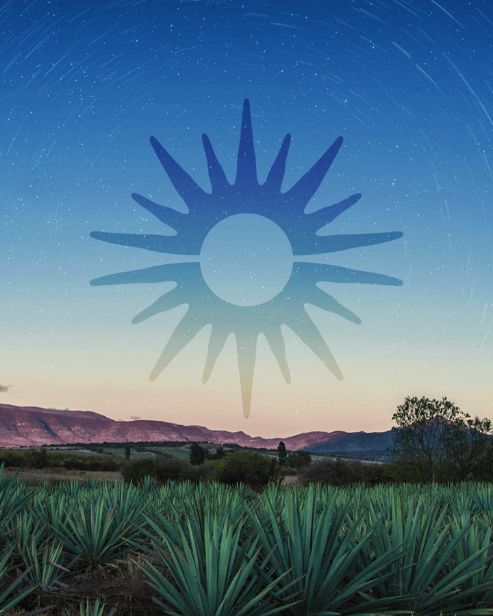 Fields of blue agave stretch to the edge of a horizon, mountains are visible on the horizon; the sky is twilight with swirled stars and a large, artistically styled sun is in the sky